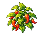 Ember Pepper