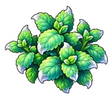 Moon Mint