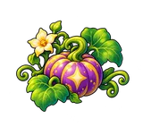 Star Pumpkin