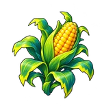 Thunder Corn